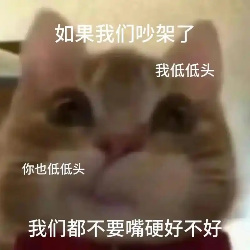 我们吵架了,我低低头,你也低低头.#歪嘴小猫表情包-抖音