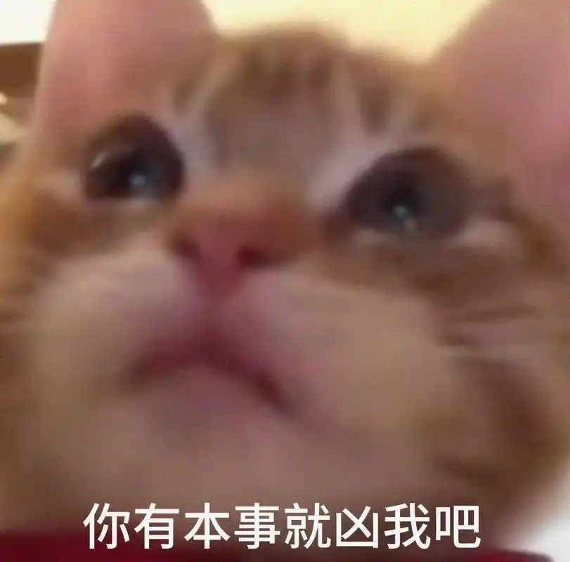 0万音乐举报发布时间:2023-05-2019:03猫猫表情包作者.