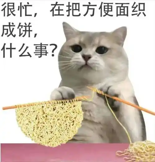 猫猫很忙表情包_侵权_网络