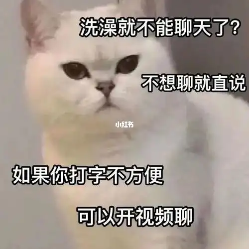 猫咪表情包#表情包分享#小情侣的日常#可可爱爱