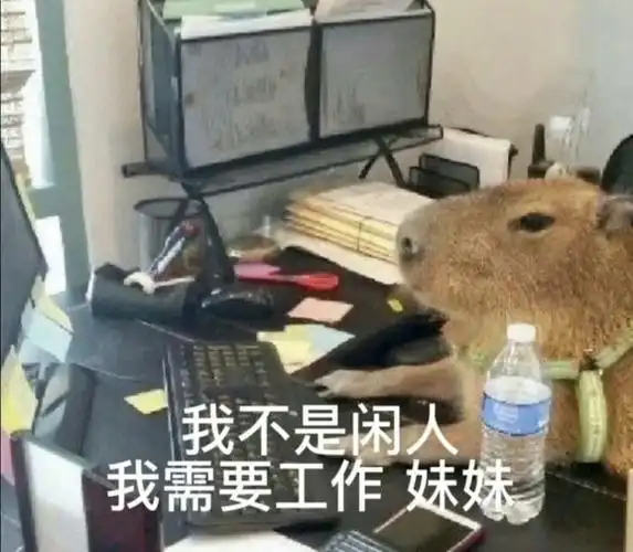 热门表情包原图精选(6个表情)-2023/11/22