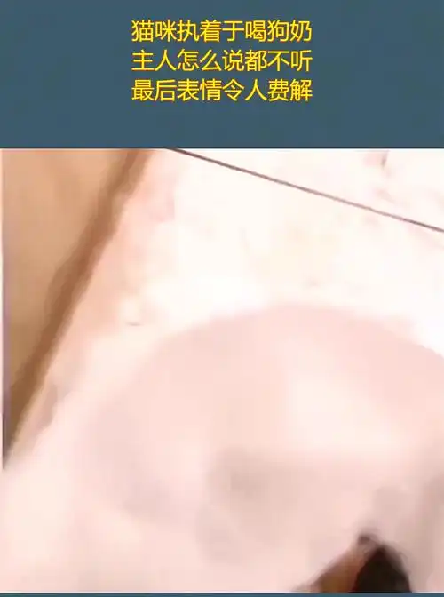 猫咪执着于喝狗奶,主人怎么说都不听,最后表情令人费解!