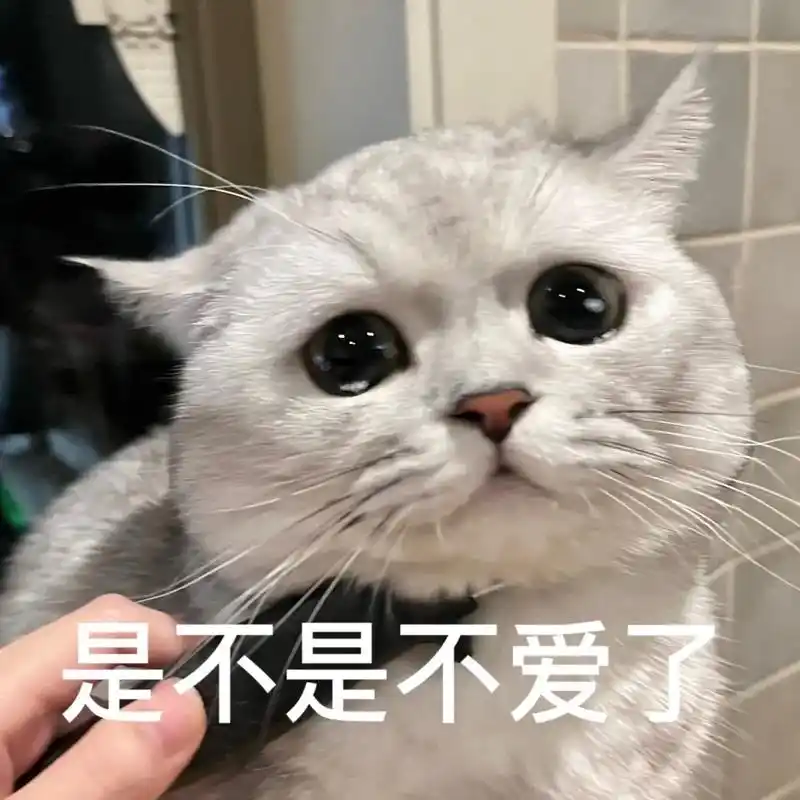 猫咪表情包#抖音图文来了生气归生气,又不是不喜欢你了.-抖音