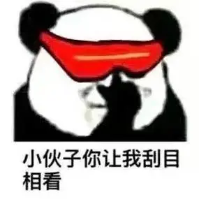 小伙子你让我刮目相看_tna教皇熊猫头斗图表情包图片-我爱斗图网