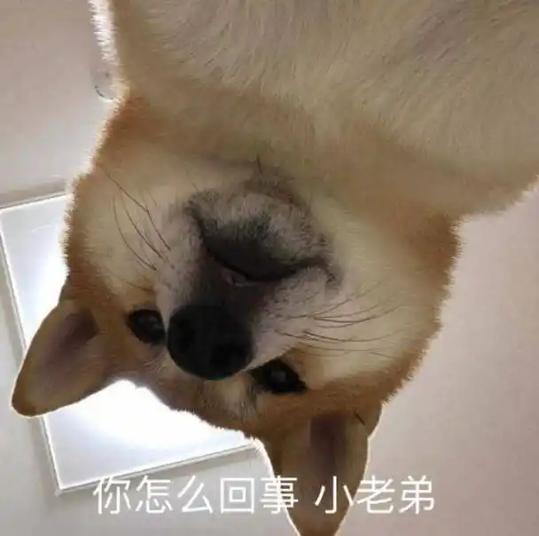 怎么回事小老弟dogedoge小老弟怎么回事表情