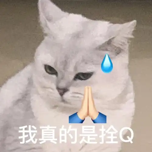 我最爱的表情包#猫咪表情包#情侣表情包#猫咪