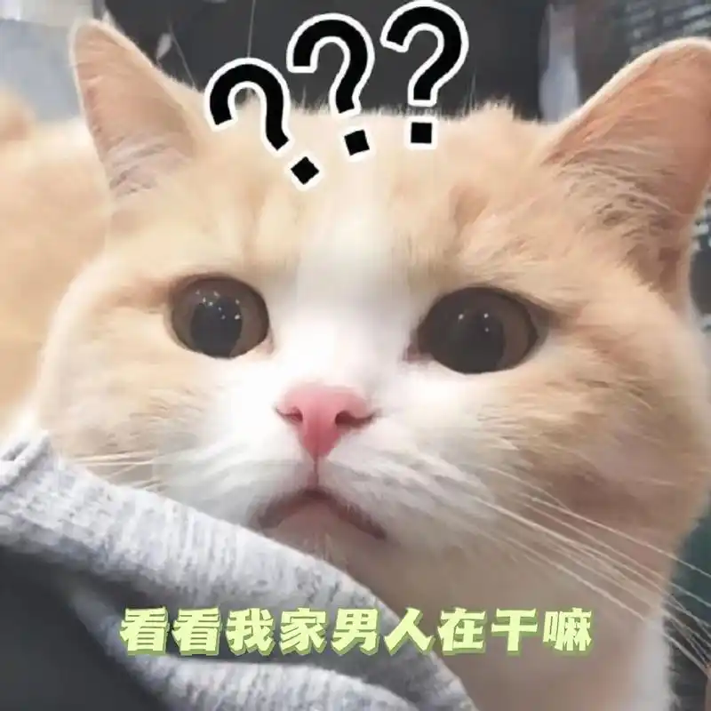 在干嘛呢?想你了,你呢?#发给对象表情包#艾特你想艾特的人