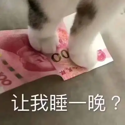 买你一晚猫表情包
