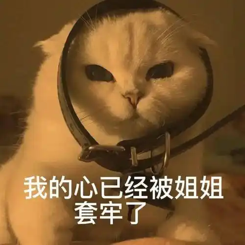 我的心已经被姐姐套牢了