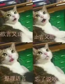 表情包猫欲言又止
