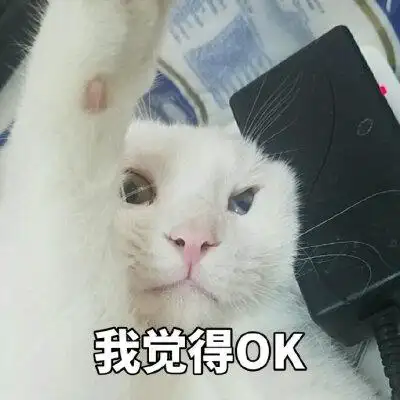 我觉得ok猫咪