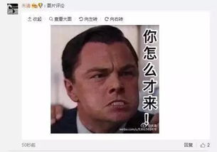 缺表情包吗来小李子地微博自取