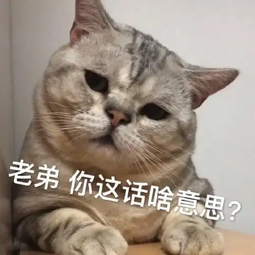 老弟你这话啥意思嘛?(猫咪表情包)