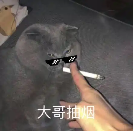 大哥抽烟(猫猫表情包)_猫猫_抽烟_大哥表情