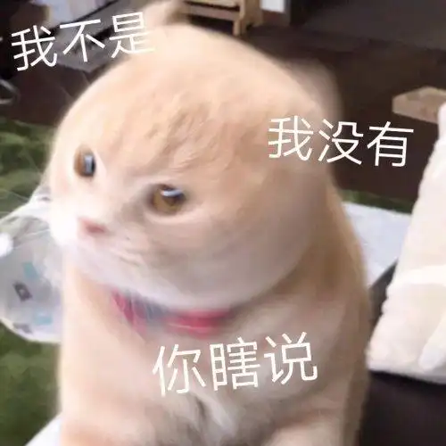 萌宠喵星人我不是我没有搞怪逗gif动图_动态图_表情包下载_soogif
