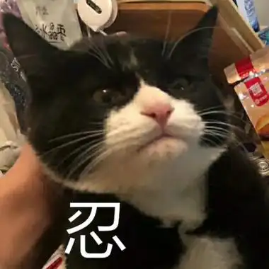 忍隐忍倔强猫奶牛猫表情包