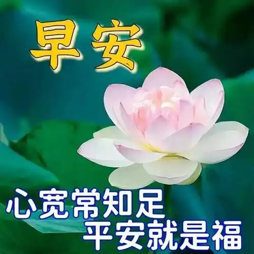 早上好表情包,送份开心,让你不老,送份爱心,让你欢笑,祝你安康