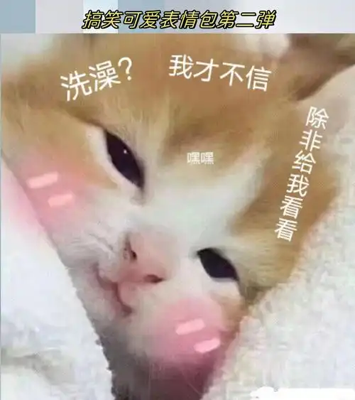 摆出一副