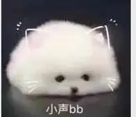 小声bb_bb_小声表情