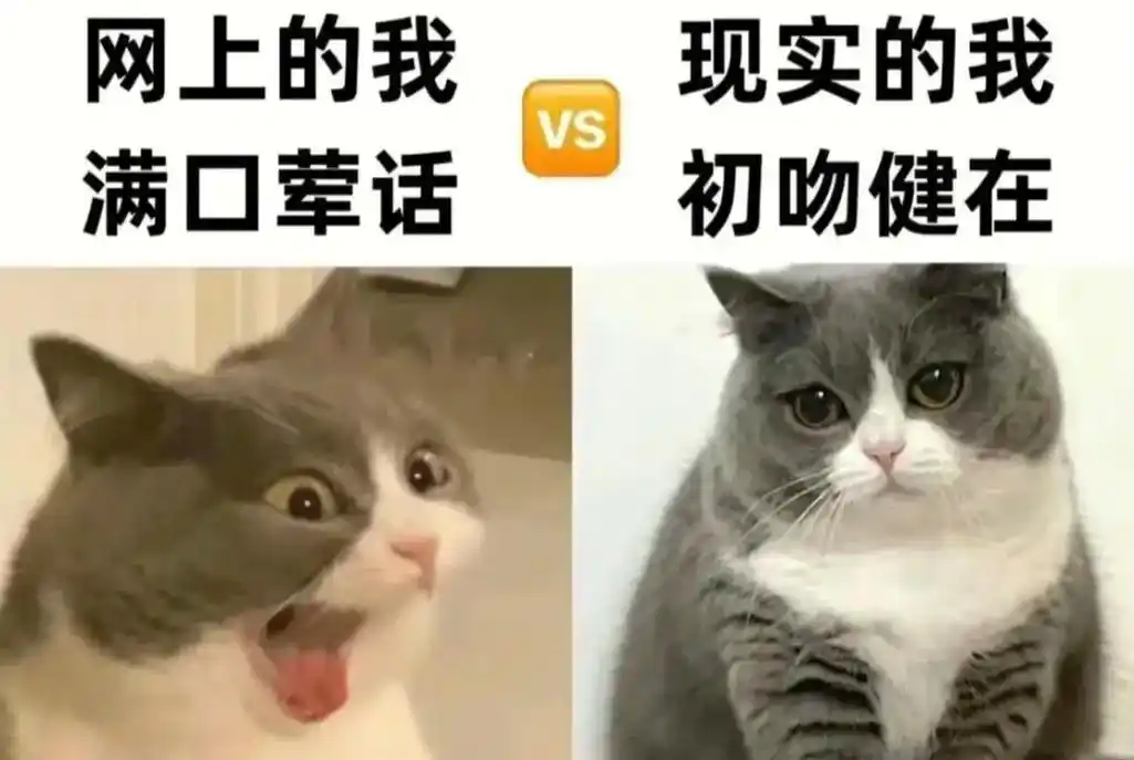 p1网络vs现实.#meme梗图#沙雕梗图#搞笑图集-抖音