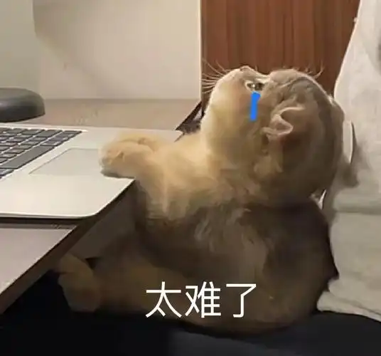 这是一组猫咪哭泣表情包