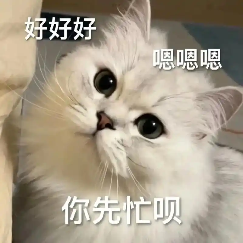 表情包#趣味表情包#每帧都是表情#猫咪表情包#抖音-抖音