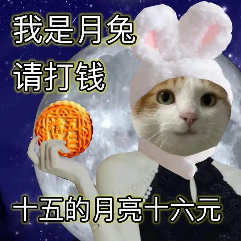 一种很新的中秋节祝福#猫咪表情包#中秋-抖音