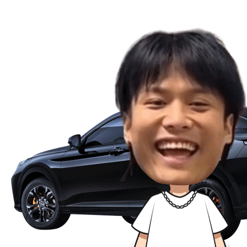 点击领取疯狂小杨哥新年表情包