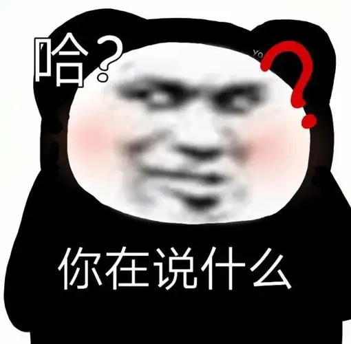 哈?你在说什么