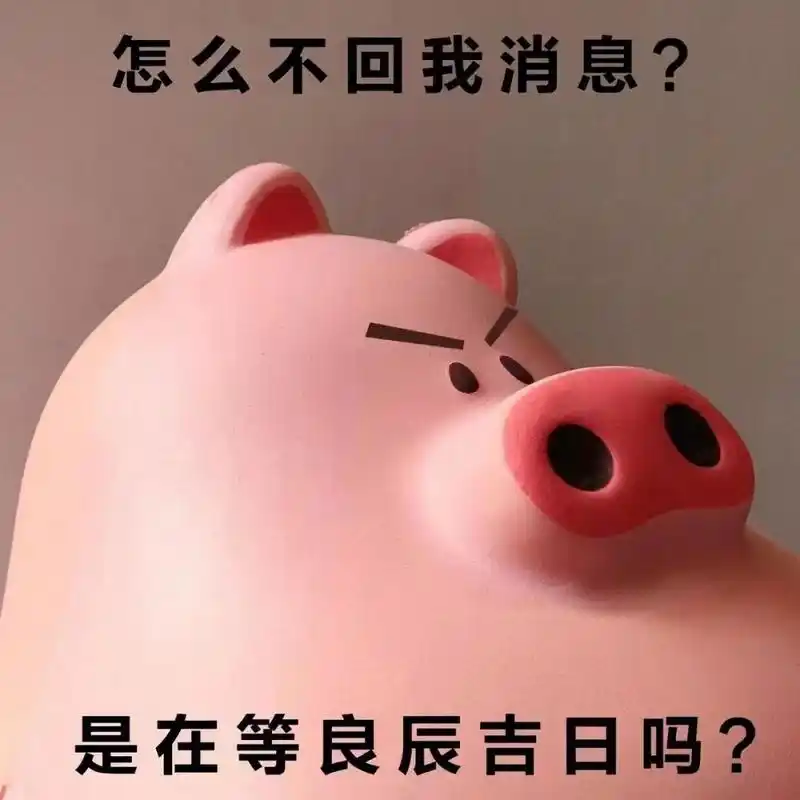 为什么不回我消息表情包