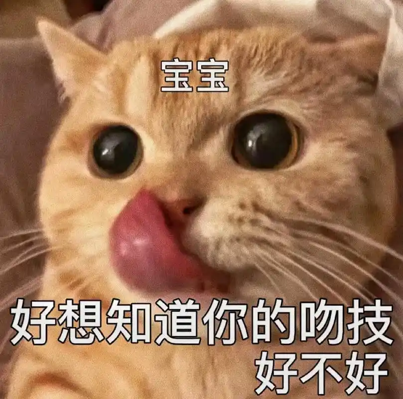 艾特你的宝宝过来亲亲#猫咪表情包#艾特你想艾特的人#抖音-抖音