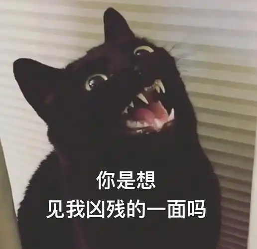 你是想见我凶残的一面吗(猫咪)_猫咪_凶残_想见_一面表情