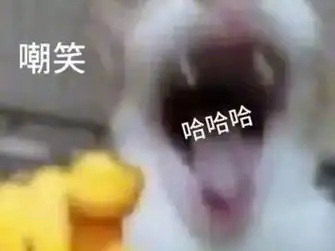 嘲笑猫纯享版