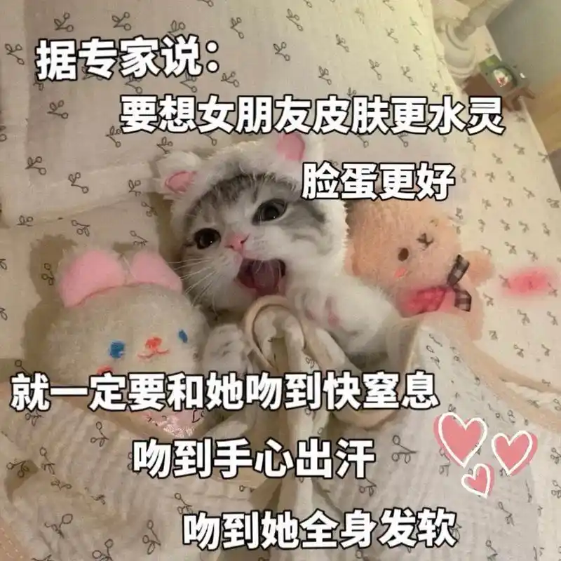 猫咪表情包#情侣日常套路#发给你喜欢的人吧#热门表情-抖音