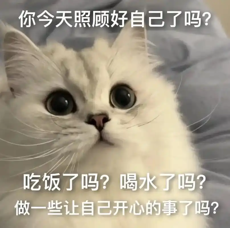 发给对象表情包#猫-抖音