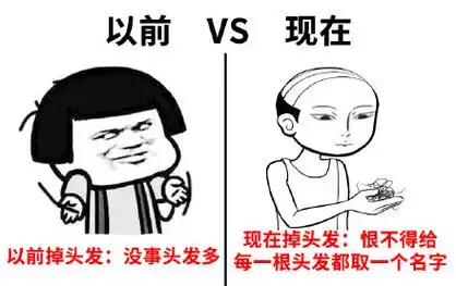 脱发主题搞笑表情包