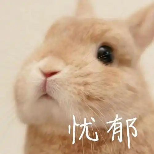 来自于忧郁的兔子先生表情包.还.