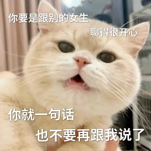 不出远门过五一#猫咪表情包#表情包#我最爱的表情包#聊祆