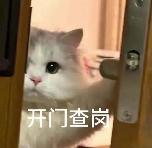 猫咪表情包