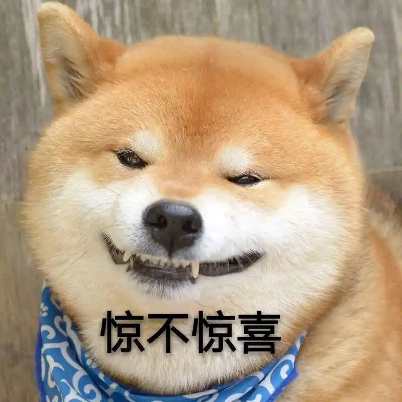 柴犬