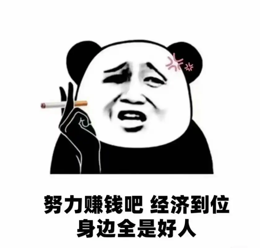 努力赚钱吧,经济到位身边全是好人#打工人##表情包