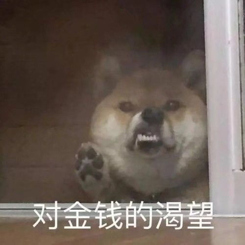 大厂面试经验