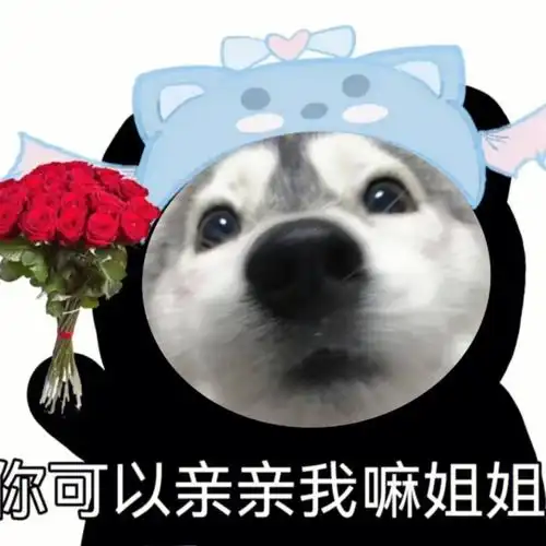表情包u崽实在是太可爱了吧哈哈哈哈06咱就是说以后要不要走搞笑
