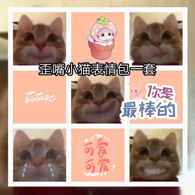 歪嘴小猫表情包一套#歪嘴小猫表情包一套抖音搜索[神图君]进入小