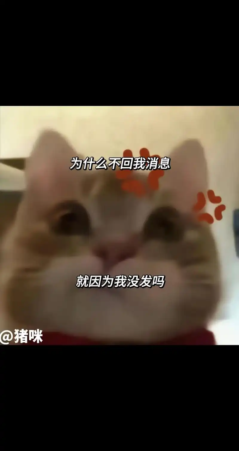 歪嘴小猫表情包#情侣聊-抖音