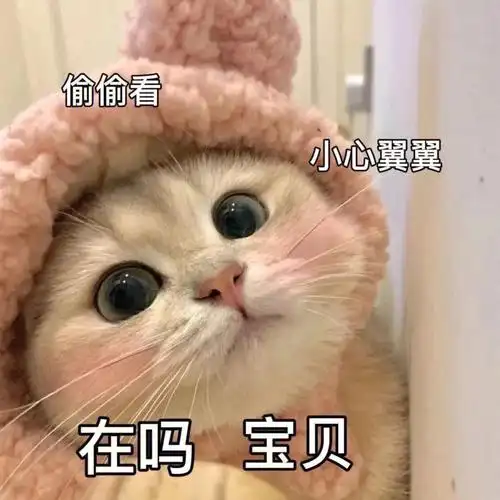 0461556103在吗宝贝想你了