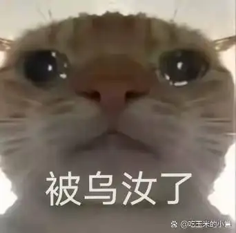 地铁逃生小猫表情包