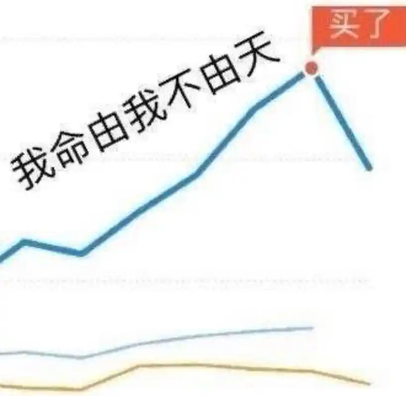 我命由我不由天最高位买入炒股抄底表情包