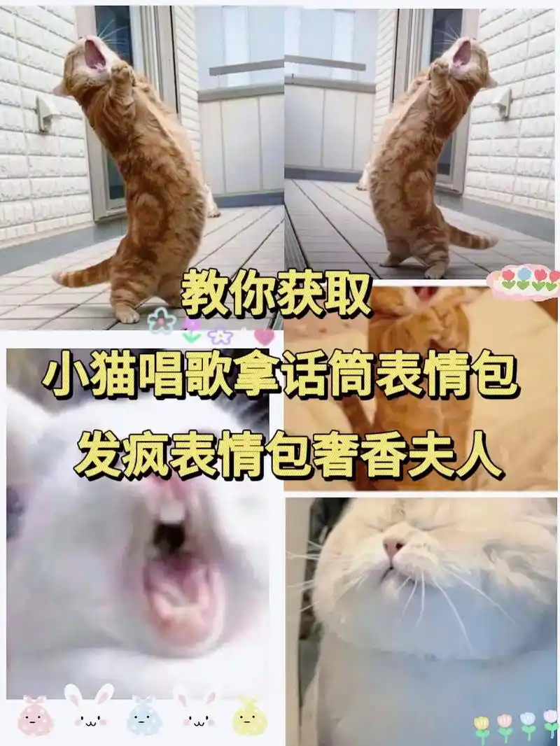 小猫唱歌拿话筒表情包#发疯表情包奢香夫人#发疯表情包-抖音