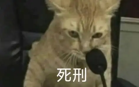 小猫法庭制裁两脚兽